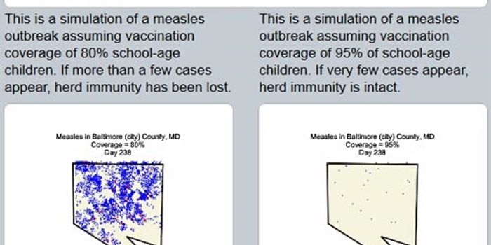 Simulating the Potential Spread of Measles