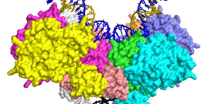 Unexpected Finding Could Help Improve Therapies to Fight HIV