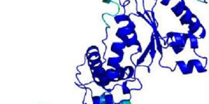 Bacteria ‘Hotwire Their Genes' to Mend Faulty Motor