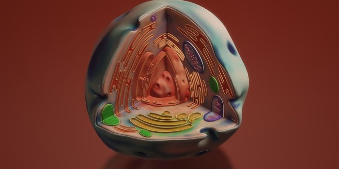 New Technique Uses Molecular Vibrations to Eradicate Cancer