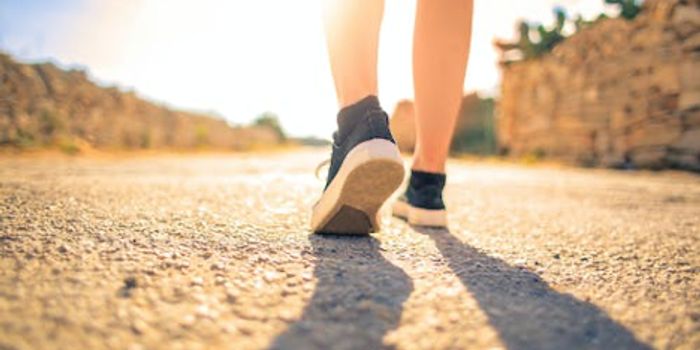 Brisk Walking Reduces Risk of Heart Disease, Cancer, and More