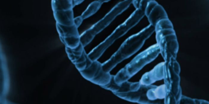 A New Way to Measure Gene Activity in Individual Cells