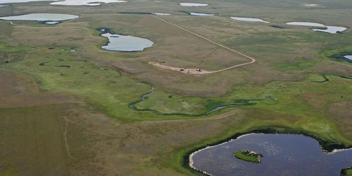 Cleaning Complex Pollutants with Genetically Modified Microbes