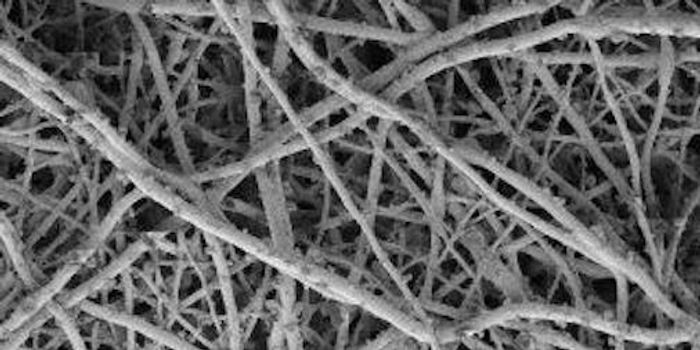 Silver-ion Coating Allows Bone Regeneration While Halting MRSA Growth