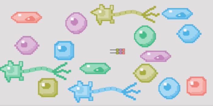 Tracking Organ Development, Cell by Cell