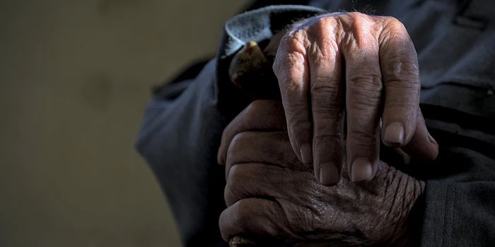 Engineered Immune Cells Improves Metabolic Function