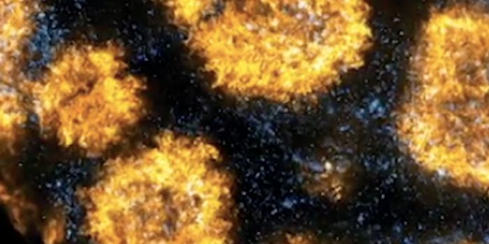 Engineering Targeted Nanoparticles