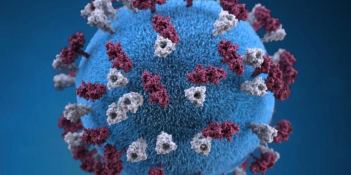 Infectious Disease Roundup: Rising US Measles, Syphilis; Lassa in Nigeria