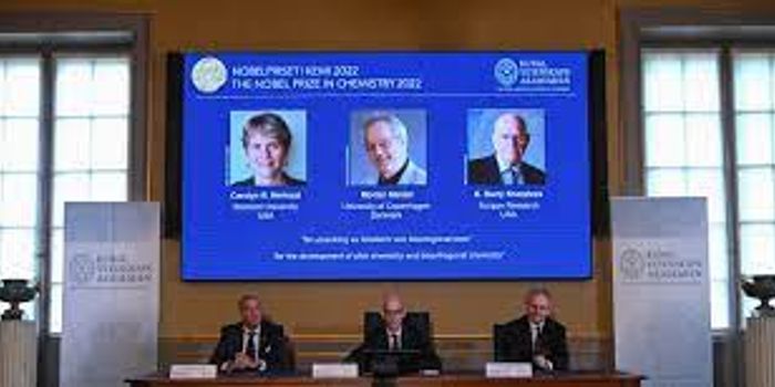 2022 Nobel Prize in Chemistry