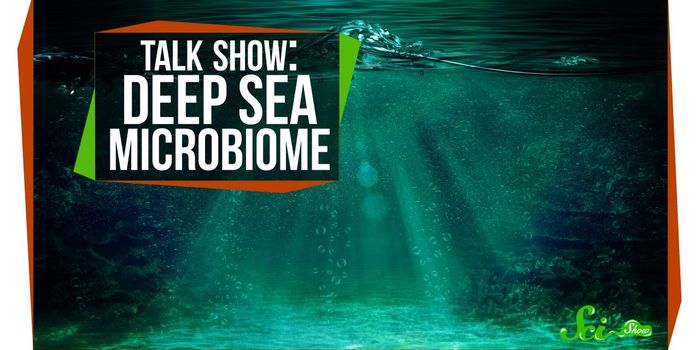 Microbes and Methane in the Deep Sea