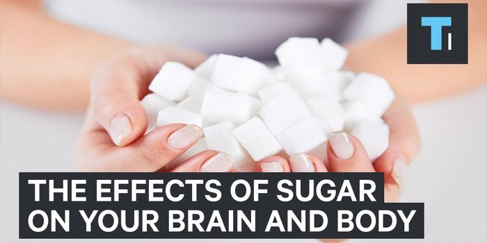 What Happens When You Overdose on Sugar