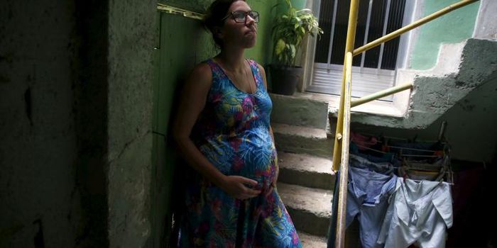 Abortion Dilemmas Heightened Amid Zika Scare