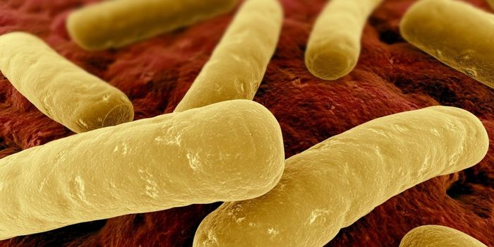 TSRI Study Suggests Repurposed Deworming Drugs Could Combat C. Difficile Epidemic