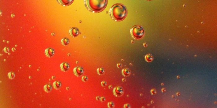 Revealing the Internal Structure of Cellular Condensates