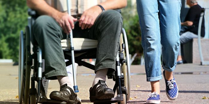 A Trio of Genes Can Restore Epigenetic Integrity & Reverse Aging