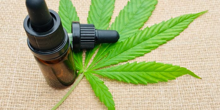 Exploring the Antioxidant Benefits of CBD in Wound Recovery
