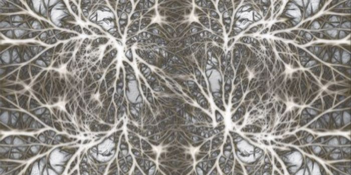 A Brain-Controlling Microscope?