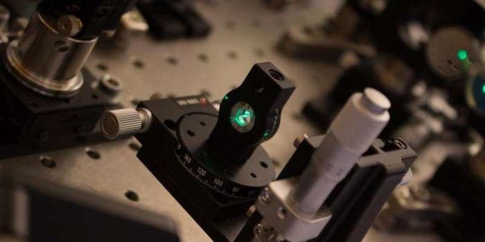 New discoveries about photosynthesis may lead to solar cells of the future