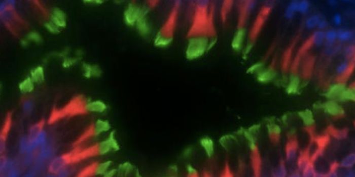 Cause of Lung Disorder is Revealed