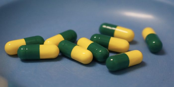 A New Type of Antibiotics Help the Immune System Fight Pathogens