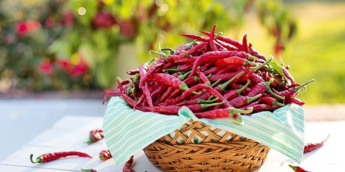 Adding Spice May Be Key to Cutting Calories