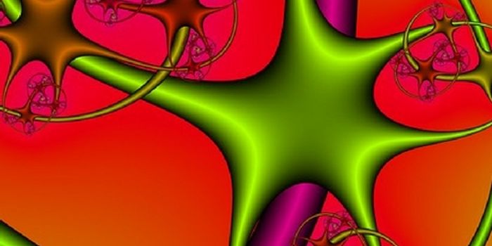 How Brain Cells are Born