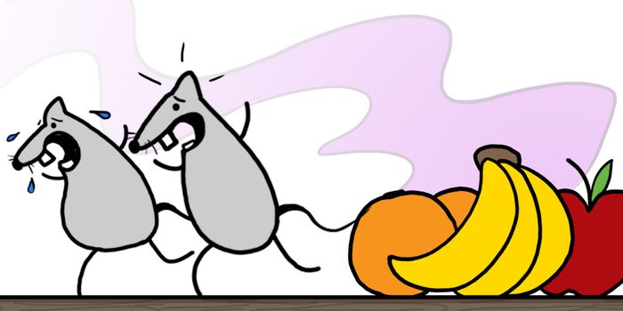 What's the deal with epigenetics?