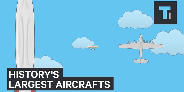 How Modern Airplanes Compare in Size to the Wright Brothers' Airplane