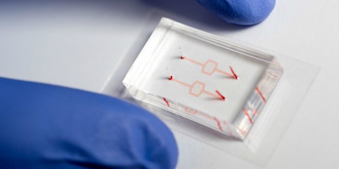 Meds make white blood cells go from stiff to soft