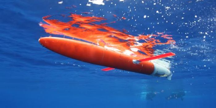 Studies Indicate Gulf Stream is Weakening, Warming & Moving