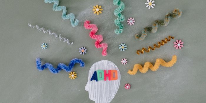Essential Vitamins and Minerals Help Children with ADHD and Emotional Dysregulation