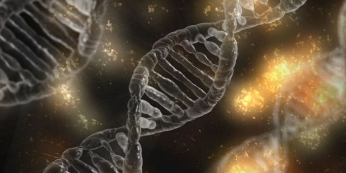 Genetics, not Environment, Primarily Shapes Microbiome