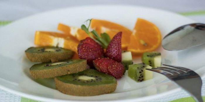 Reduced Calorie Consumption Slows Aging, is Ribosome why?