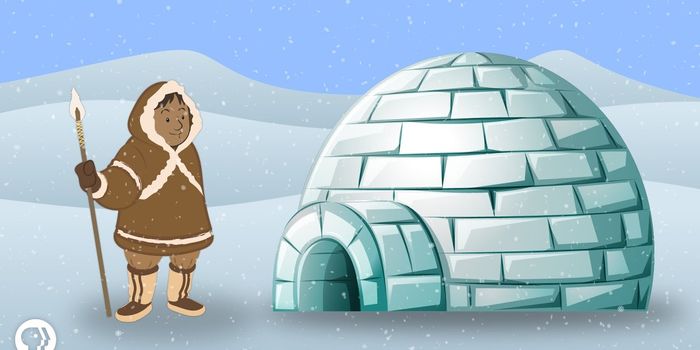 Does an igloo really keep you warm?
