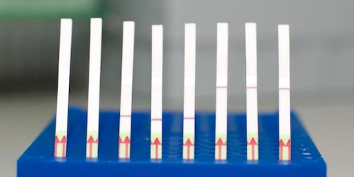 New Tools in the CRISPR Arsenal