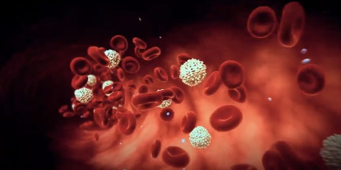 Free-Floating Mitochondria Found in Blood