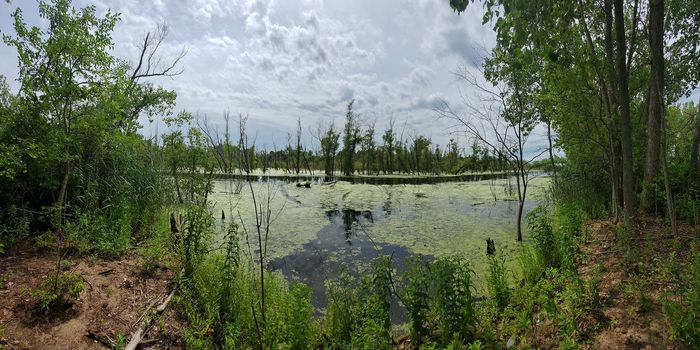 Evidence of human activity 400,000 years ago in Saudi Arabia