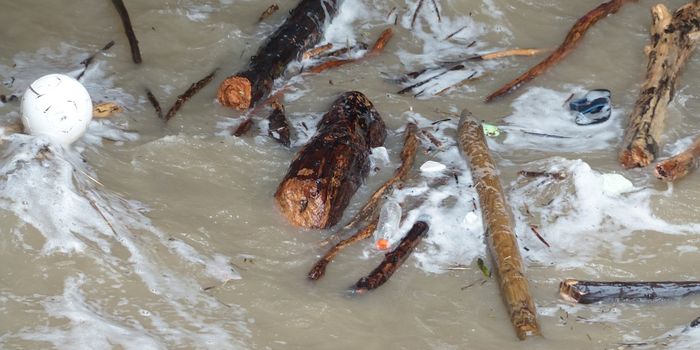 Toxic stormwater pollution in LA beaches