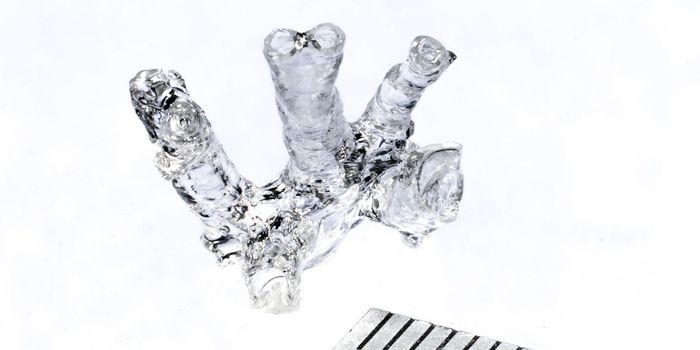 Bioprinting Complex Tissues