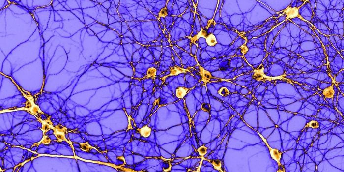 This Molecule May Be Crucial to the Biology of Addiction