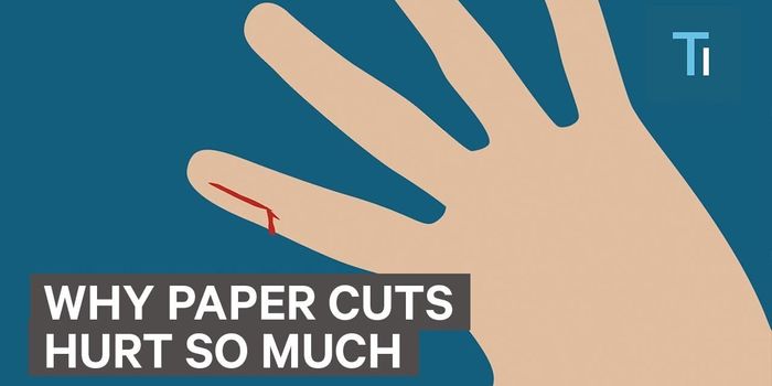 Here's Why Paper Cuts Are So Painful