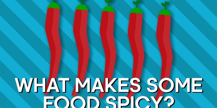 How Do We Tell Temperature?