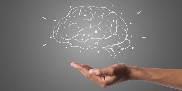 Inhibition of a Specific Enzyme Could be a Way to Treat Glioblastoma