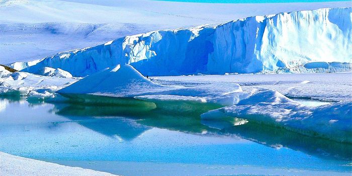 "Green Snow" Expected to Increase in Antarctica