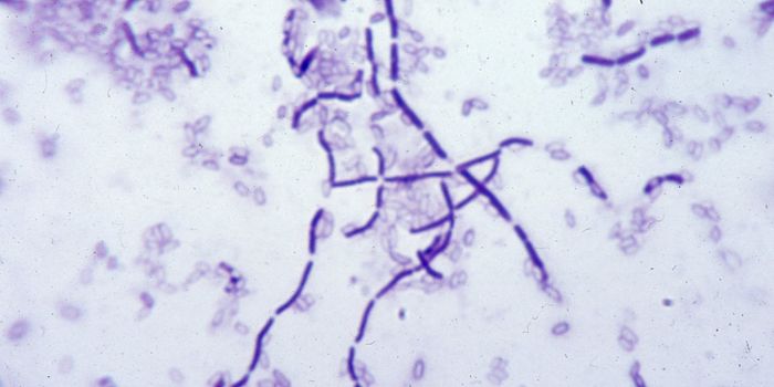 Microbial Interactions Yield Therapeutic Options