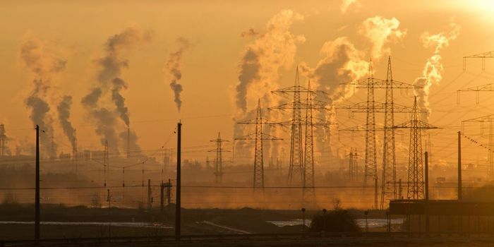 Air Pollution Linked to Brain Inflammation and Reduced Sperm Count