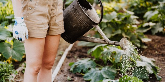 Gardening Lowers Stress, Anxiety, and Depression
