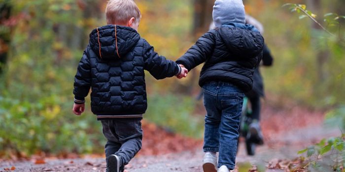 Brain Connectivity Patterns of ASD & ADHD are Totally Different