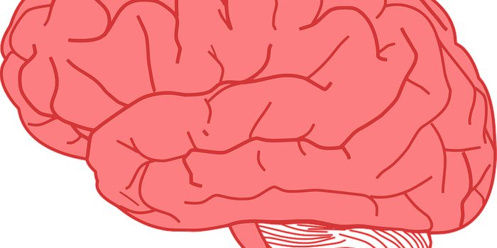 What is the Endocannabinoid System?