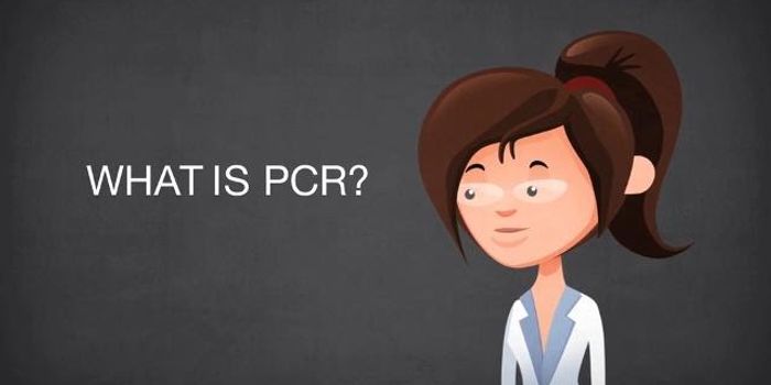 A Simple Description of PCR